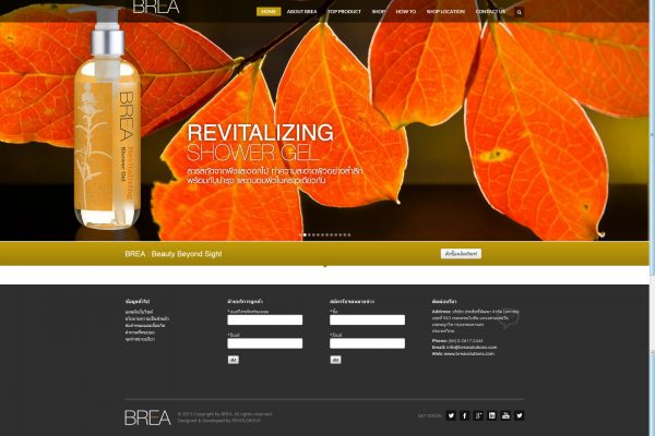BREA-Interactive_Design-02