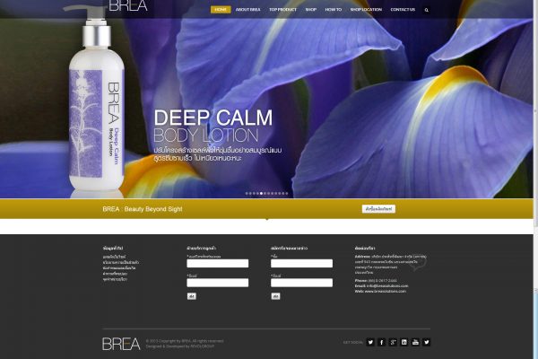 BREA-Interactive_Design-03